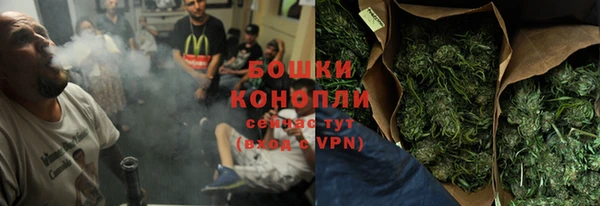 гашик Богородск