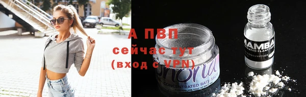 гашик Богородск