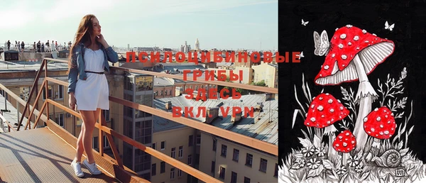 a pvp Богданович