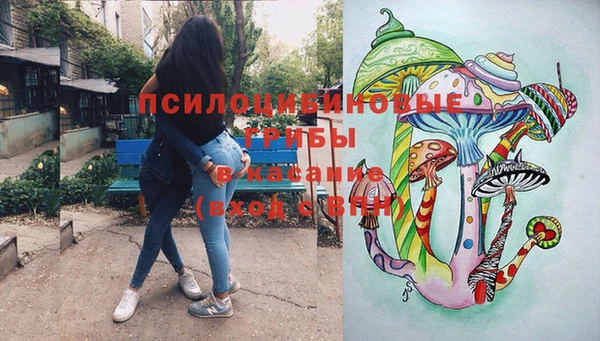 мескалин Богородицк