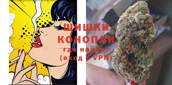 гашик Богородск