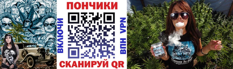 наркота  Дмитровск  Бошки марихуана индика 